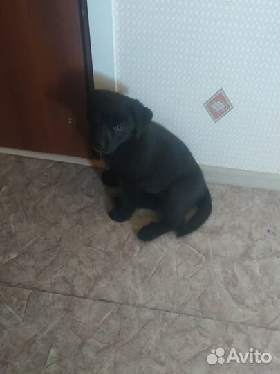 Маленькая девочка