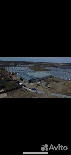 Разнорабочие