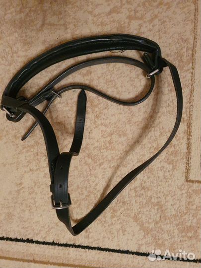 Амуниция разная для лошади и всадника