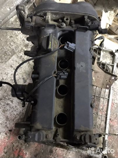 Двс 1,6 Ford Focus 3