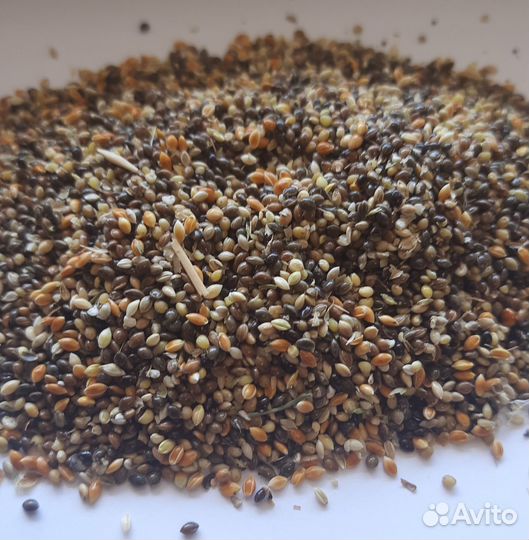 Отходы проса (без пыли), просо