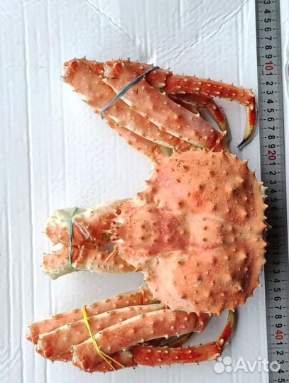 Краб камчатский, оригинальный подарок