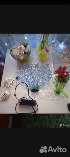 Аквамаристика