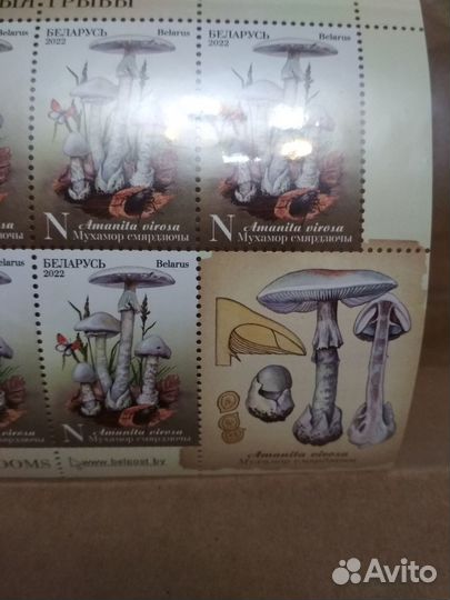 Ядовитые грибы. Беларусь 2022, мл с купоном