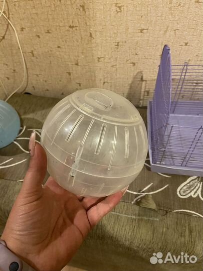 Шар для хомяка