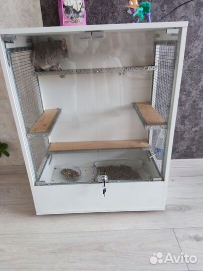 Витрина для шиншилы