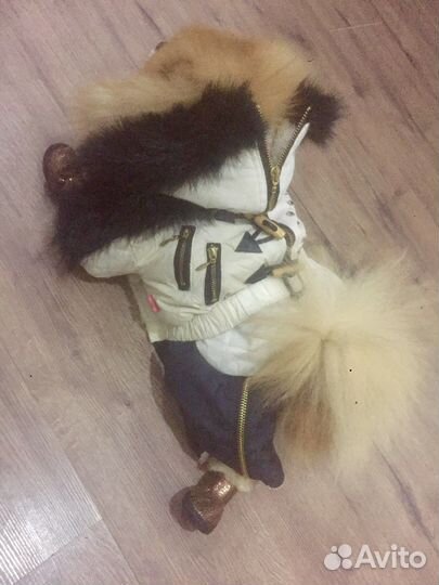 Комбинезон для собаки