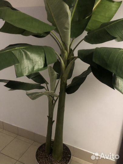 Искусственное дерево бу