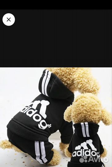 Комбинезон для маленькой собаки новый