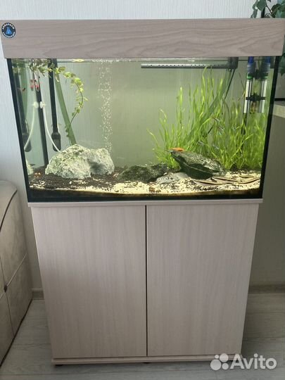 Аквариум (пустой) с тумбой 140л
