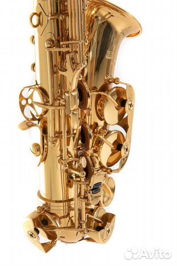 Саксофон альт Roy Benson AS-302
