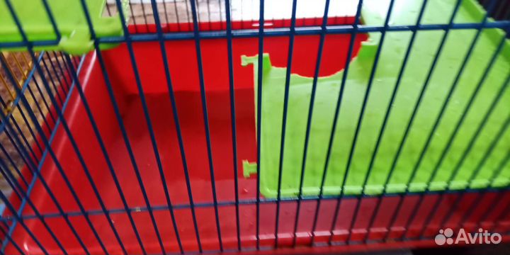 Клетка для грызунов