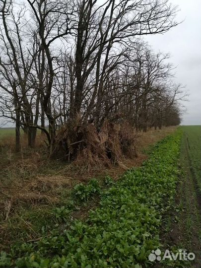 Маскировочная сеть 6х1,47, цвет Темный кустарник