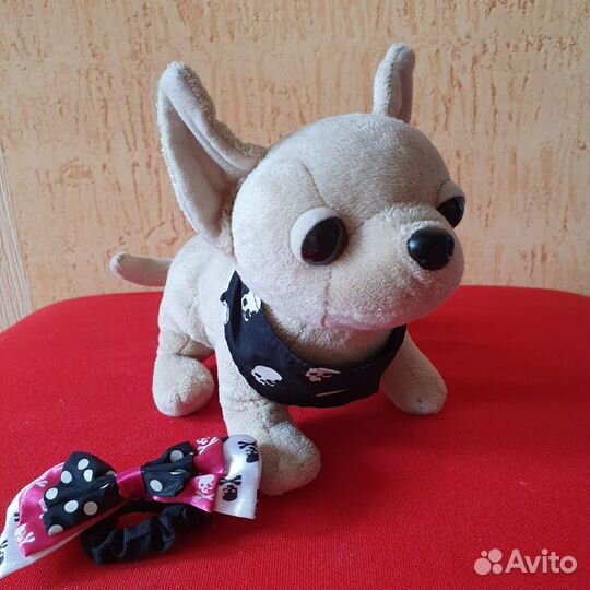 Chi chi love щенок в сумочке