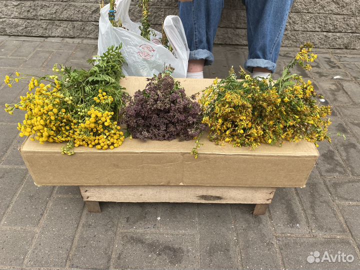 Пижма, зверобой, душица