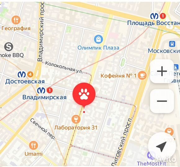 Груминг собак