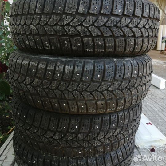 Tigar Sigura Stud 175/65 R14