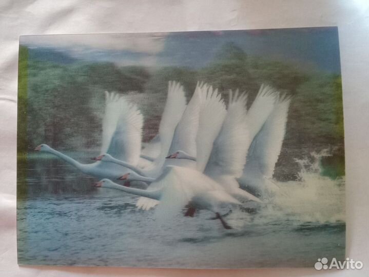 Картина по номерам