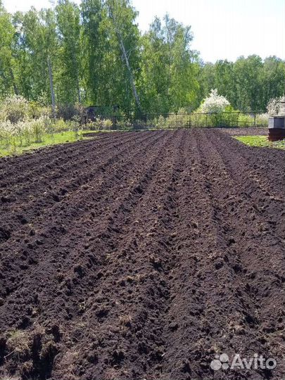 Вспашка земли мотоблоком