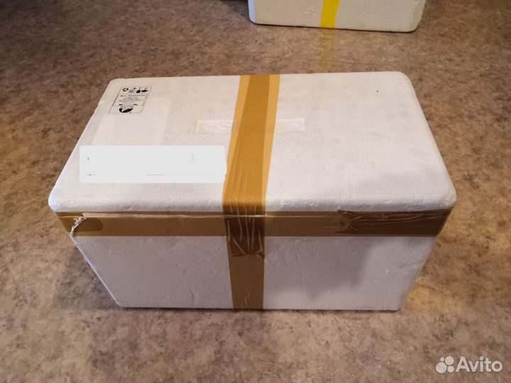 Коробка/контейнер/бокс / холодильник из пенопласта