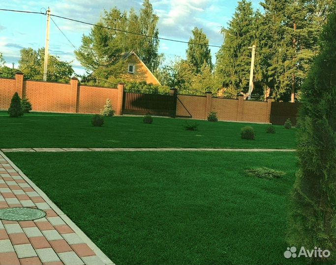 Рулонный газон