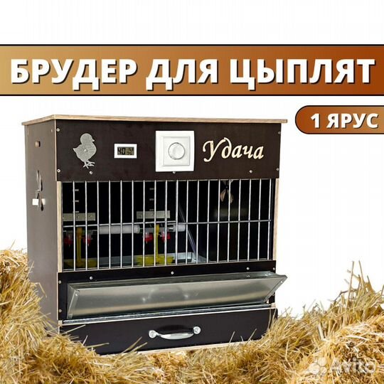Брудер для цыплят мини в полной комплектации. Эко