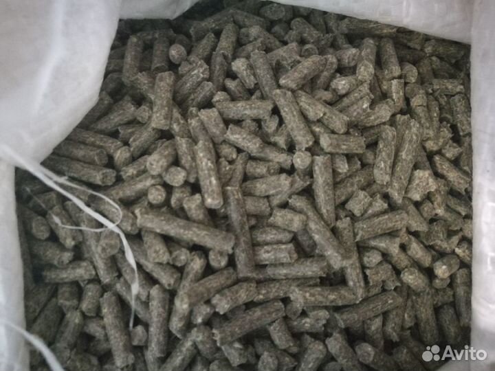 Корм для Шиншилл