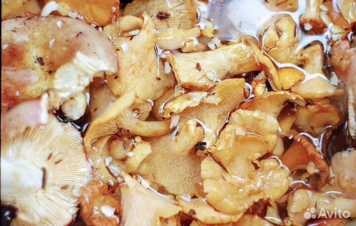 Сканировани фотопленок на Nikon coolscan 5000 ED