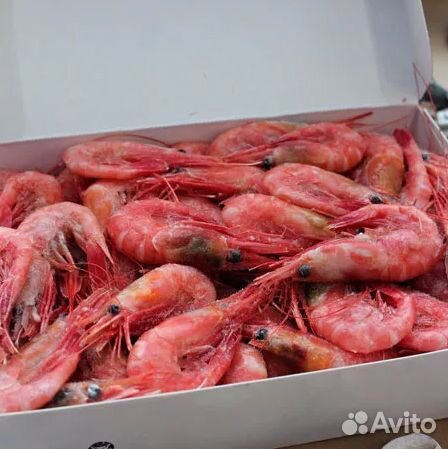 Креветки северные 70 90