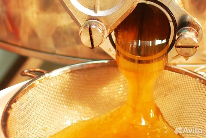 Мёд натуральный из Алтая оптом от 16 кг