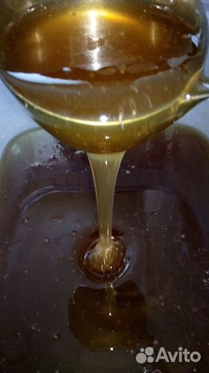 Мед темное разнотравье, Пенза 2022г