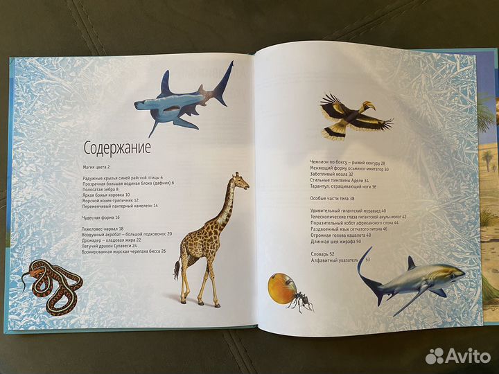 Энциклопедия интересных фактов, 3 шт