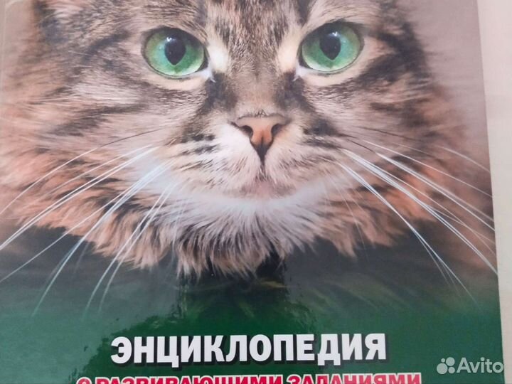 Книги о кошках