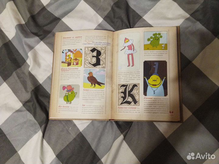 Энциклопедия время приключений