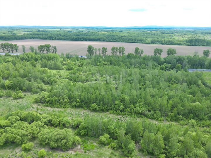 Участок 10,7 сот. (ИЖС)