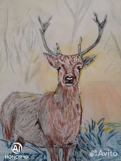 Рисунки на заказ в садик, школу