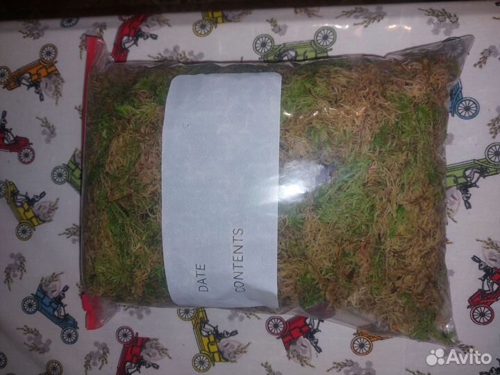 Мох сфагнум магелланский живой