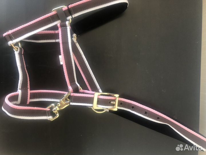 Амуниция для лошадей