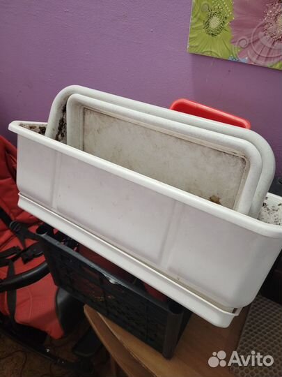 Горшок для цветов бесплатно