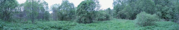 Участок 18 сот. (СНТ, ДНП)