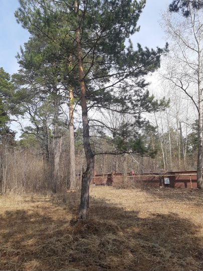 Участок 20 сот. (ИЖС)