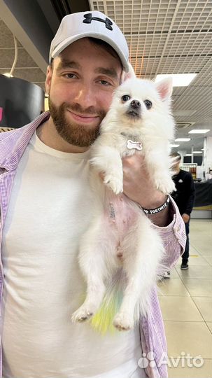 Агент по недвижимости