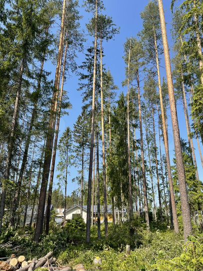 Участок 13,1 сот. (ИЖС)