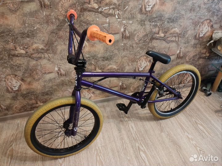 Bmx code bikes seeker