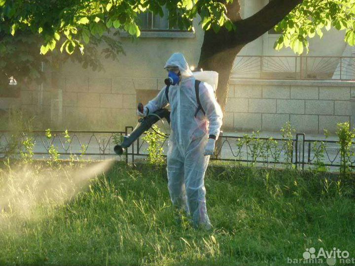 Уничтожение клопов,травля тараканов, клещей,ос