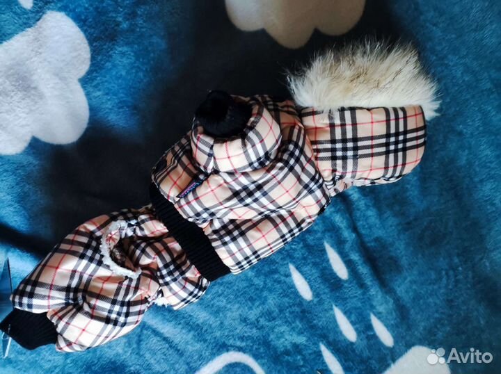 Комбинезон для маленькой собаки