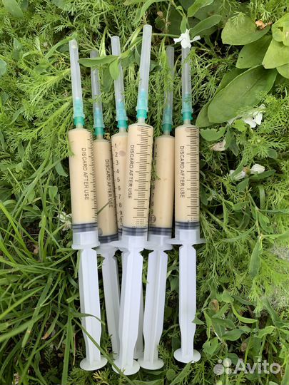 Трутневый гомогенат 2023