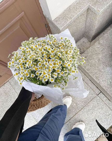 Цветы ромашки. Букеты ромашек. Цветы доставка