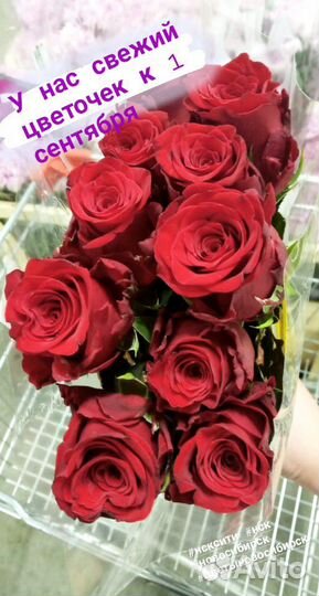 Цветы новосибирск розы срезка
