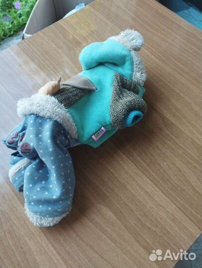 Одежда, сумка -переноска для собак